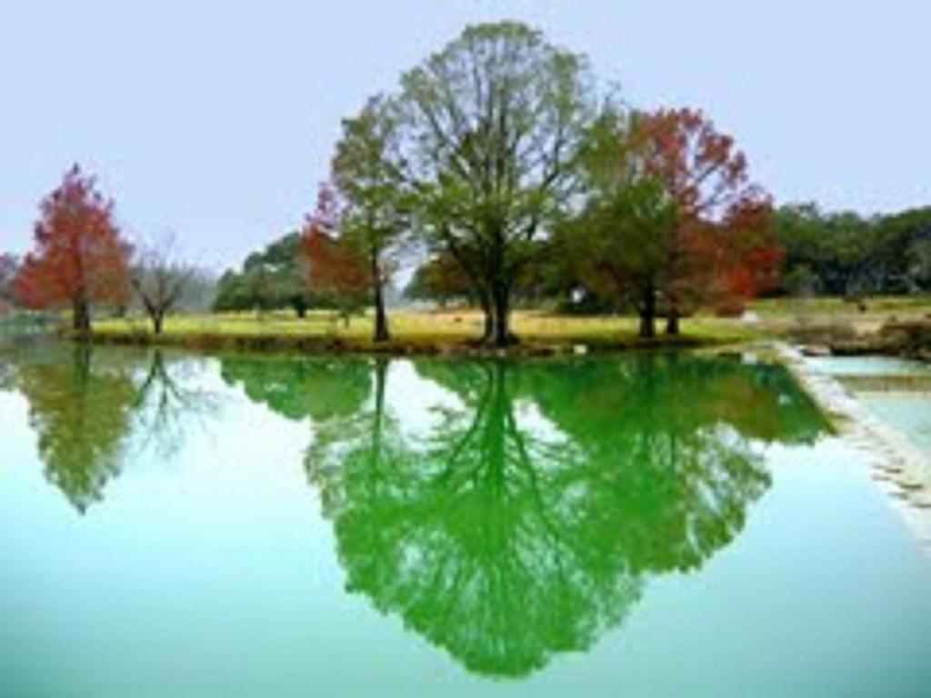 Blanco Riverside Cottages Dış mekan fotoğraf